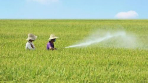 生物农药科学与工程专业开设院校 生物农药科学与工程专业有哪些院校