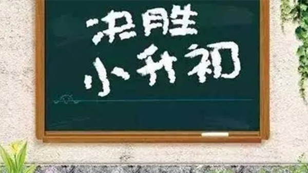 厦门小升初派位规则2021 厦门小升初有多少学位