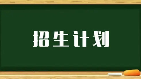 高校招生计划在哪里查 2021高校招生计划