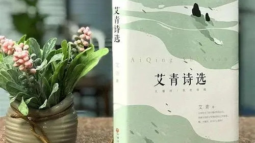 2021艾青诗选读后感范文（精选）