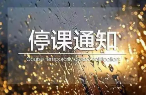 上海中小学幼儿园停课一天半 中小学幼儿园停课的暴雨预警(图1)
