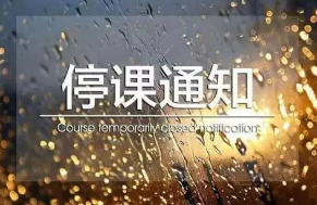 上海中小学幼儿园停课一天半 中小学幼儿园停课的暴雨预警