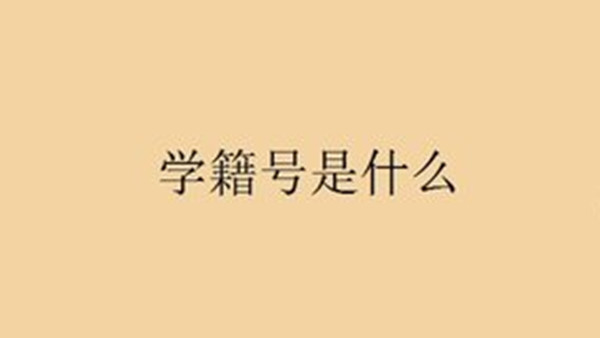 学籍号是什么 学籍号是学号吗