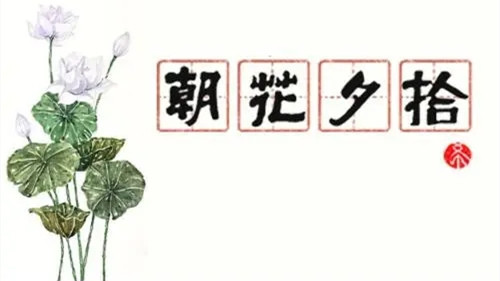 2021《朝花夕拾》精选读书笔记