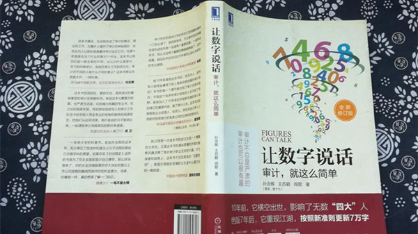 让数字说话读书笔记整理2021 让数字说话审计就这么简单