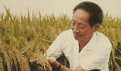 最新缅怀袁隆平作文范文大全