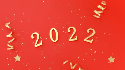 2022年虎年春节感想作文