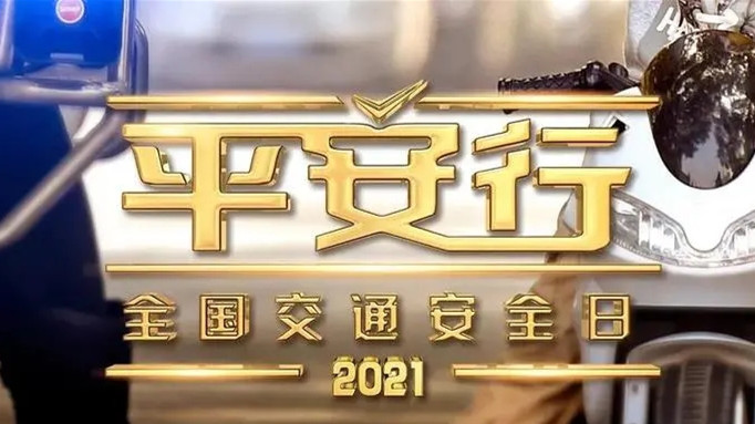 《平安行2021》特别节目观后感心得体会合集