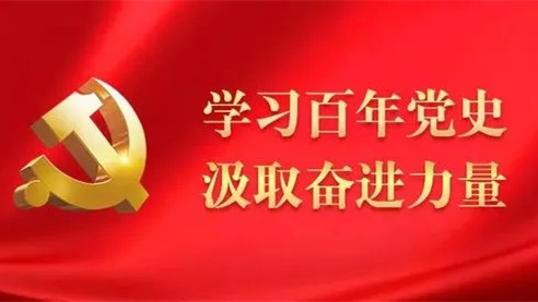 2021百年党史学习教育主题征文