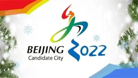 2022小学生冬奥会征文合集