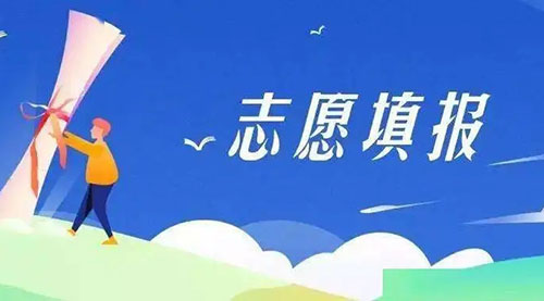 2022志愿模拟填报表格示例图 高考志愿怎么填报