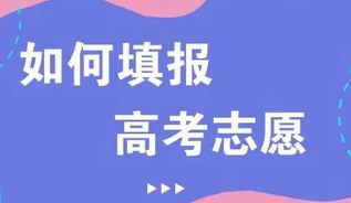 2022高考填志愿是怎么填的 高考填志愿填报步骤是什么