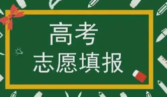 2022高考志愿能填几个学校和专业 新高考下能填几个志愿