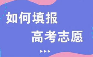 高考志愿填报普通类一段二段什么意思