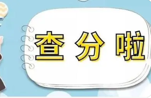 四六级成绩查询2022年上半年 2022年四六级成绩查询时间