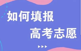 高考志愿填报能填几个 高考志愿填报一共能报几次