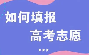 2022年高考志愿数量限制 考大学可以报几个志愿