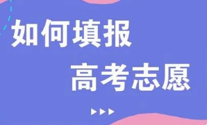 2022高考怎么报志愿怎么选专业 高考填报志愿怎么选专业