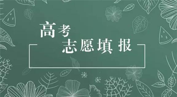 2022高考填志愿冲稳保怎样填 有哪些报考策略