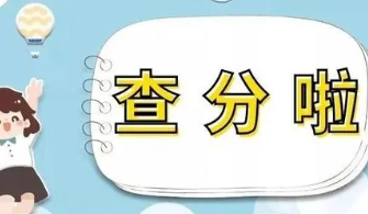 浙江高考成绩查询时间2022具体时间 浙江高考成绩什么时候出2022