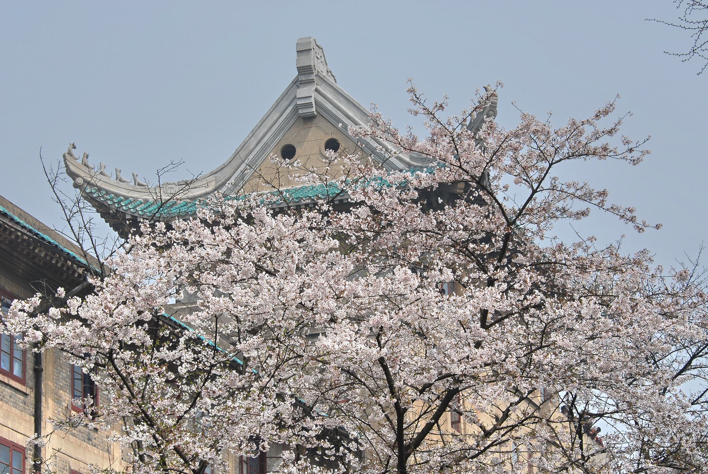 2022南京大学适合女生的专业有哪些 哪些专业好就业