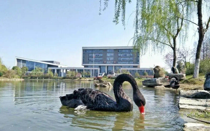 中国药科大学录取分数线甘肃  中国药科大学在甘肃的录取分数线2022 