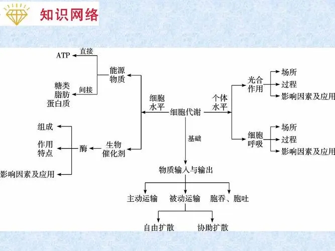 高考生物题型全归纳2022版总结