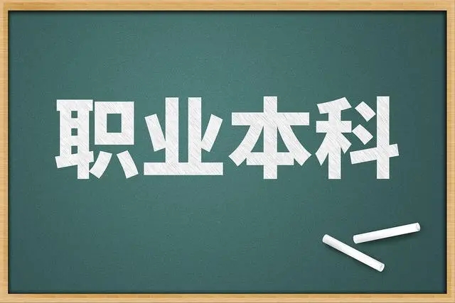 2022职业本科有哪些学校 什么是本科职业院校