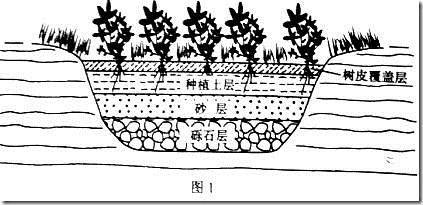 2022高考地理答题模板及必背术语