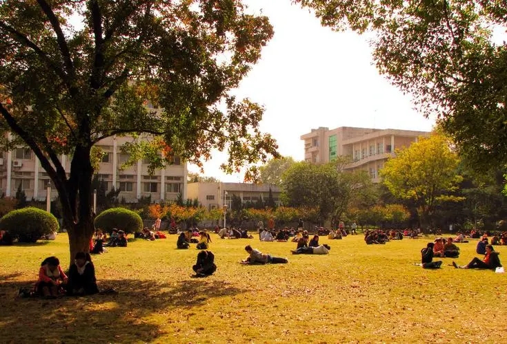 小学生三年级标点符号题目及答案 小学3年级标点符号专项训练题