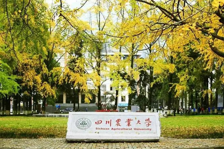 农林类大学专业排名 农林大学最好的专业