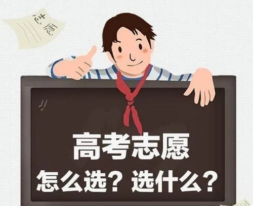 热门专业如何填报志愿 填志愿最热门专业