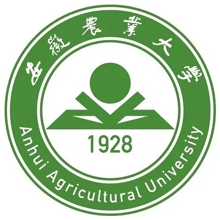 2022文科高考409分能上什么大学 2022年高考文科409分能上什么大学