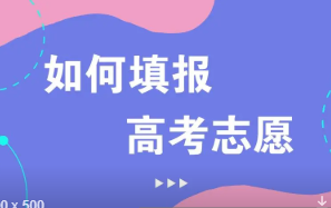 2022高考志愿填报攻略 2022高考填志愿是怎么填的