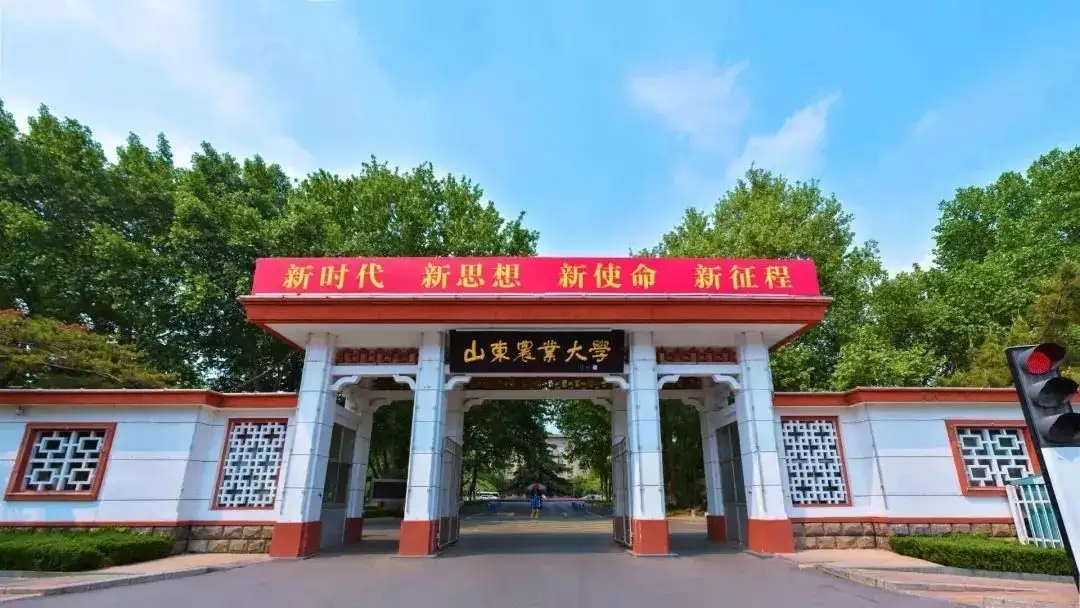 山东农业大学优势专业排名最好的专业有哪些