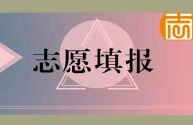 2022艺术考生专科志愿填报有什么技巧 艺术生专科怎么填报志愿