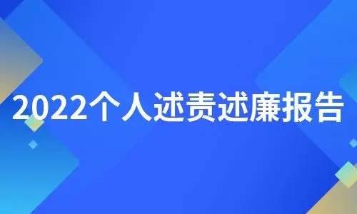 个人述责述廉报告材料2022年 2022年述职述责述廉报告