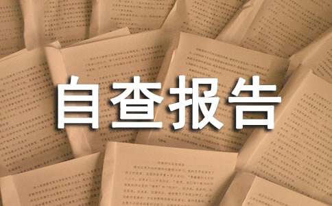 整治形式主义官僚主义为基层减负自查报告合集