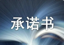 2023年公路施工安全责任书 公路施工安全承诺书范文