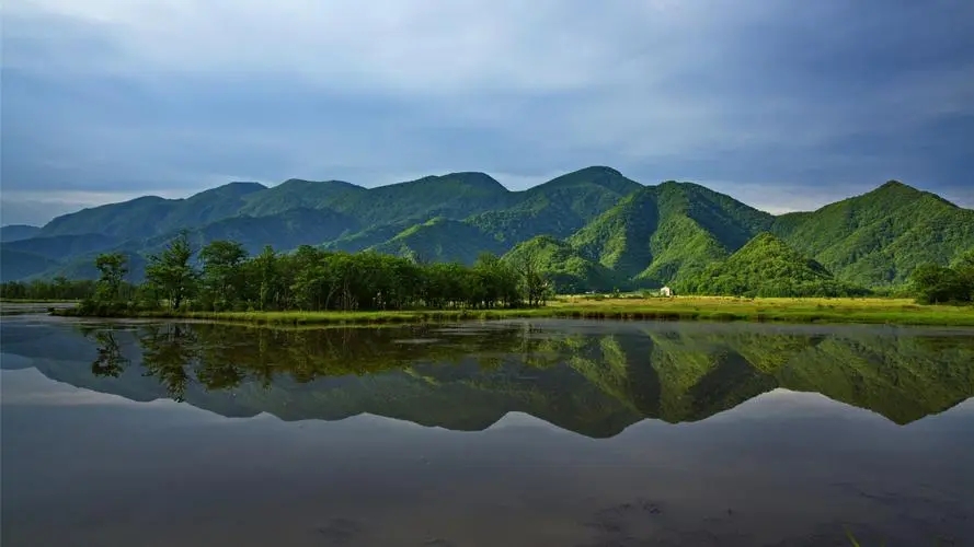 管理学原理试题及答案