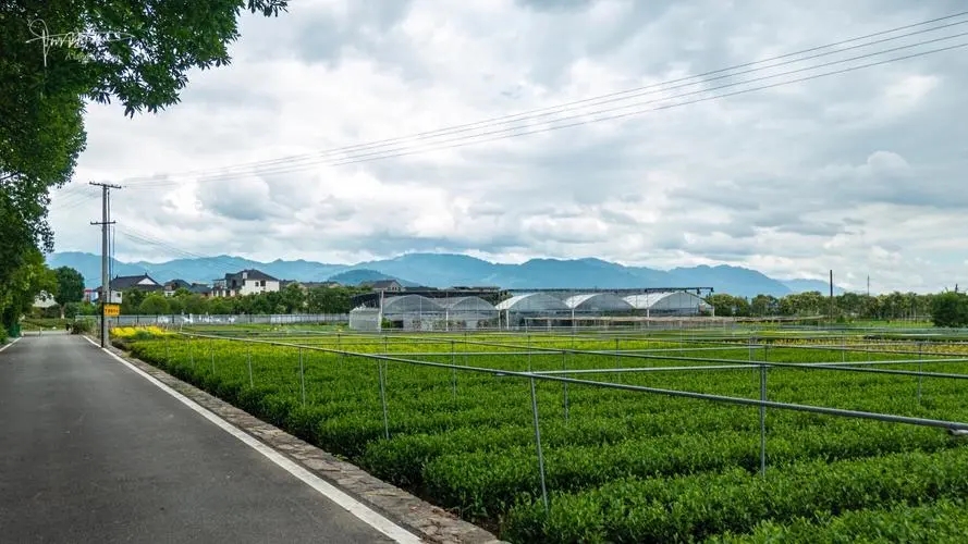 卷行知天下八年级下册生物参考答案